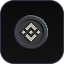 Binance Coin icon